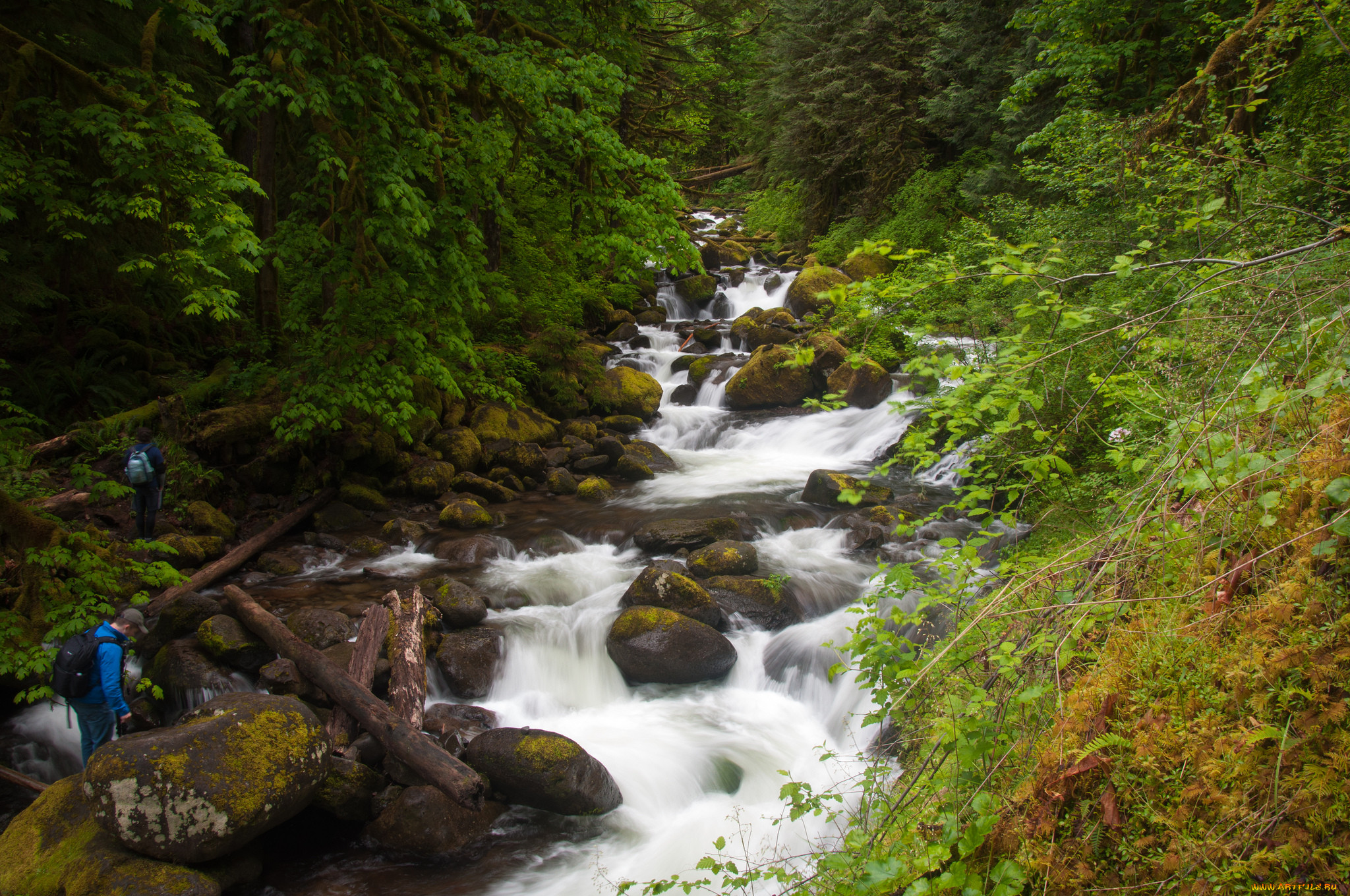 columbia, river, gorge, oregon, , , , , , , , , , 